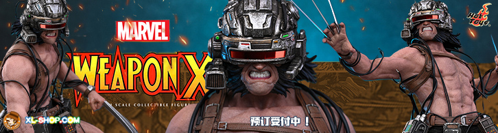 Hot Toys - CMS034 - Marvel Comics - 1/6th scale Weapon X Collectible Figure 