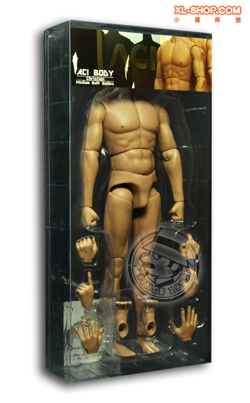 ACI Toys - 1/6 Body Series - Christian Ver.1 [Asian]