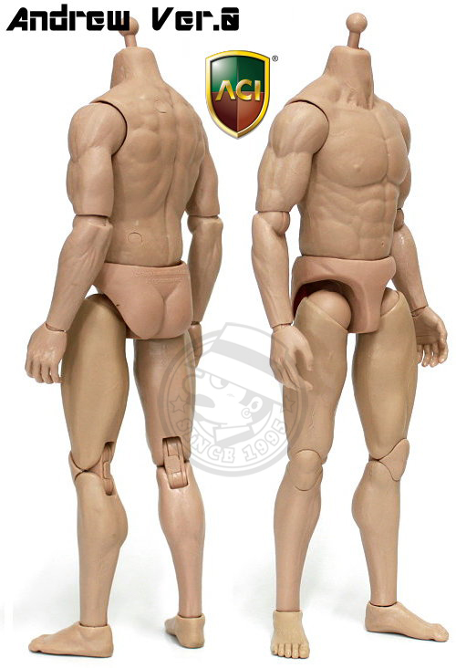 ACI Toys - 1/6 Body Series - Andrew Ver.0 (plain version : unpainted)