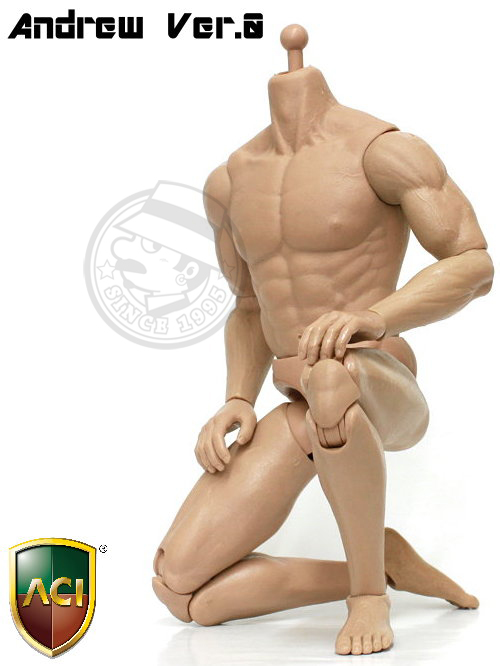 ACI Toys - 1/6 Body Series - Andrew Ver.0 (plain version : unpainted)
