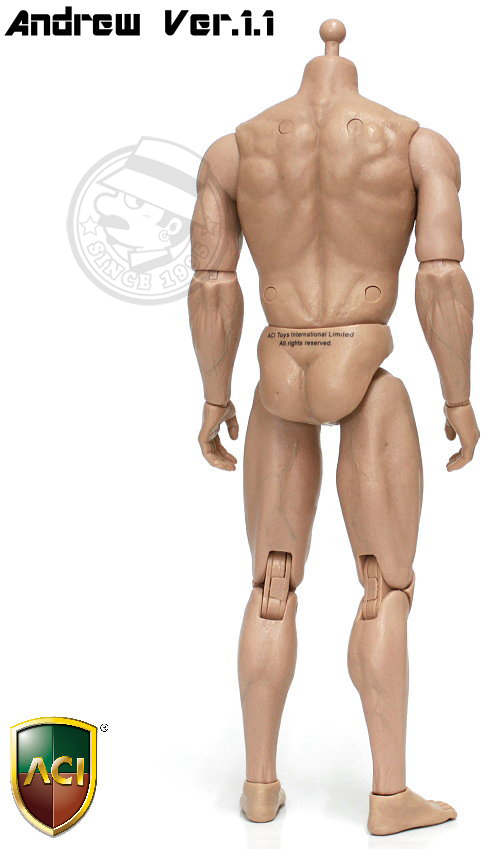 ACI Toys - 1/6 Body Series - Andrew Ver.1.1 (Scar Version