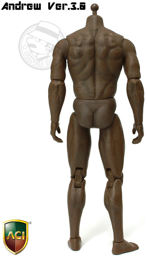 その他 ACI TOYS 1/6 BODY SERIES ANDREW ACI Toys - 1/6 Body Series - Andrew Ver.3.0 (Black Version 2
