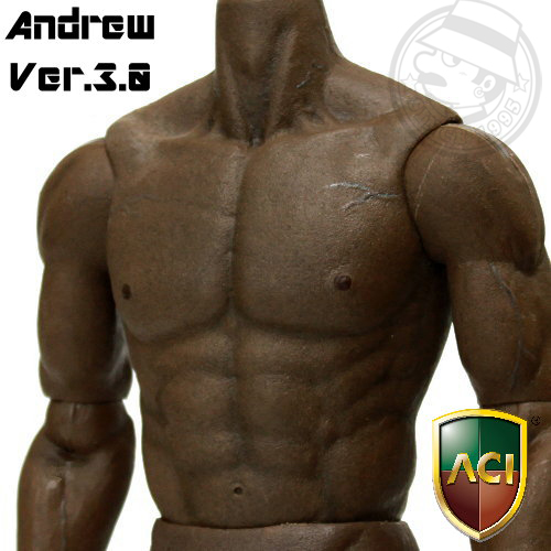 ACI Toys - 1/6 Body Series - Andrew Ver.3.0 (Black Version 2