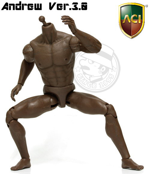 ACI Toys - 1/6 Body Series - Andrew Ver.3.0 (Black Version 2