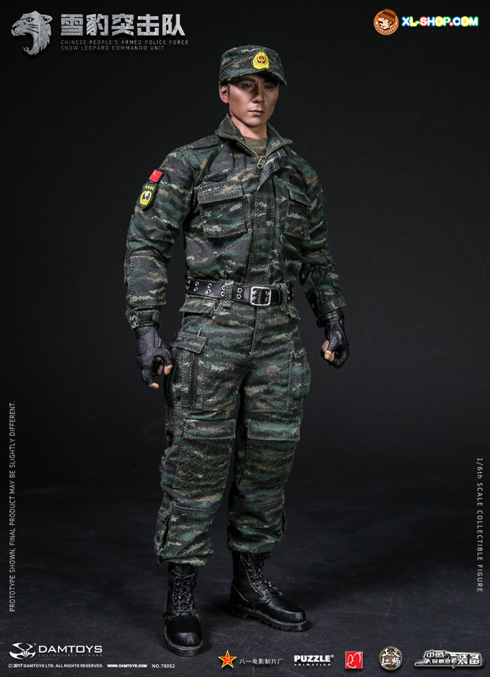 DAMTOYS Chinese People's Liberation Army Special Forces 1/6
