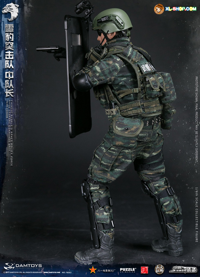 DAMTOYS Chinese People's Liberation Army Special Forces 1/6