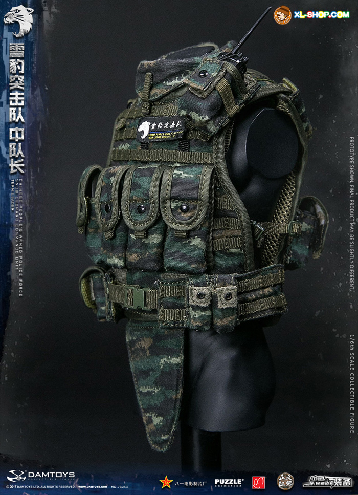 Damtoys 78053 1/6 Chinese People'S Armed Police Force Snow