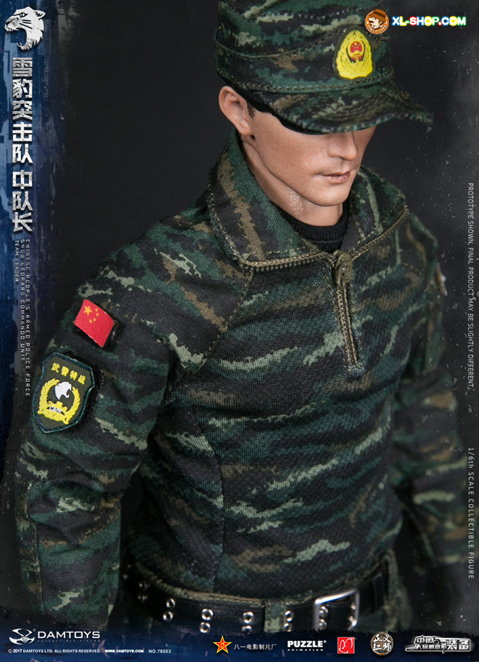 Damtoys 78053 1/6 Chinese People'S Armed Police Force Snow