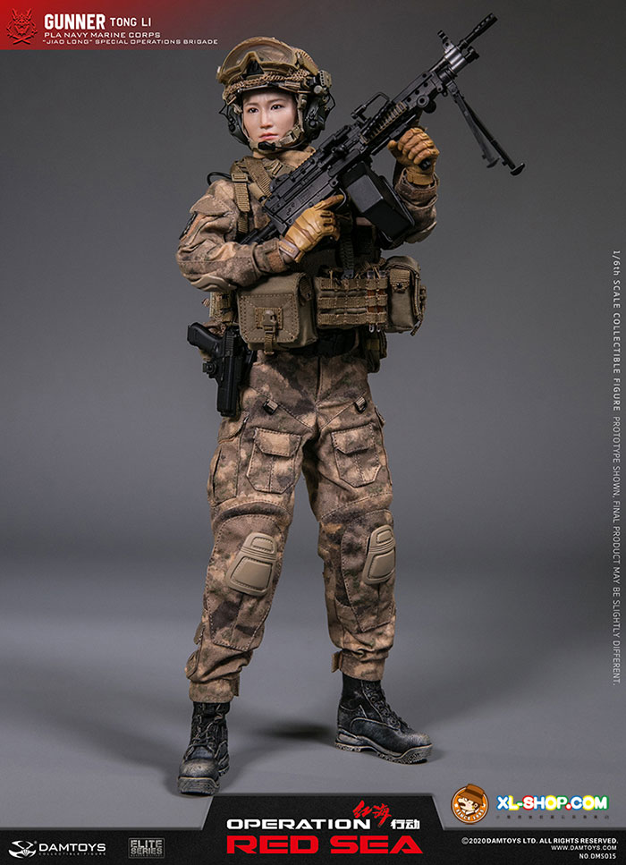 Toys & Hobbies Action Figures DAMTOYS DMS015 1/6 Scale Collectible 12